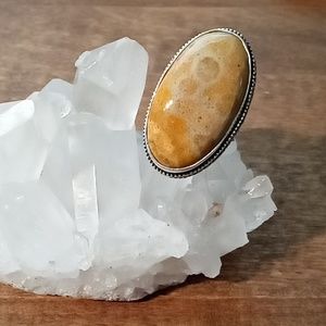Fossil Coral Ring Size 6.5